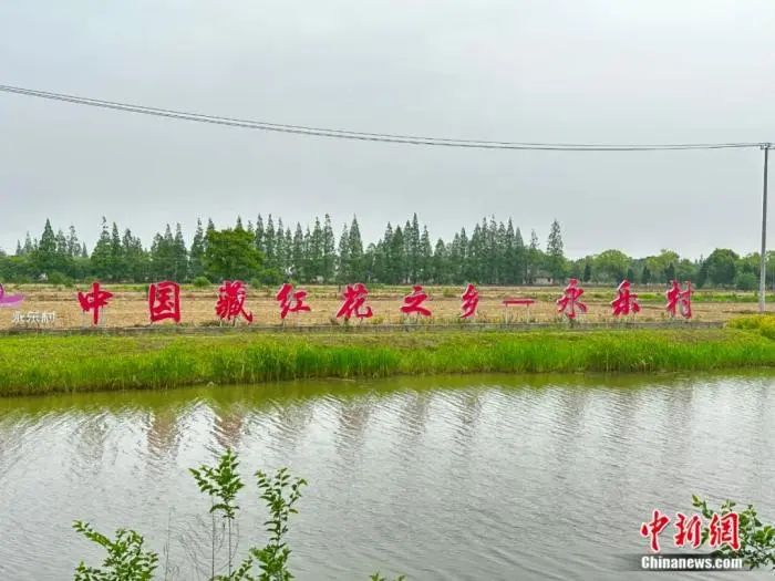 外人竟是咱自己！各地隐藏农特产给你惊喜