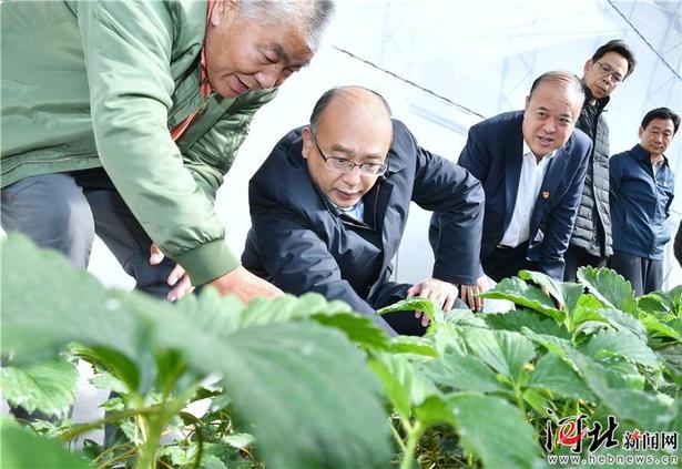 许勤在张家口调研检查