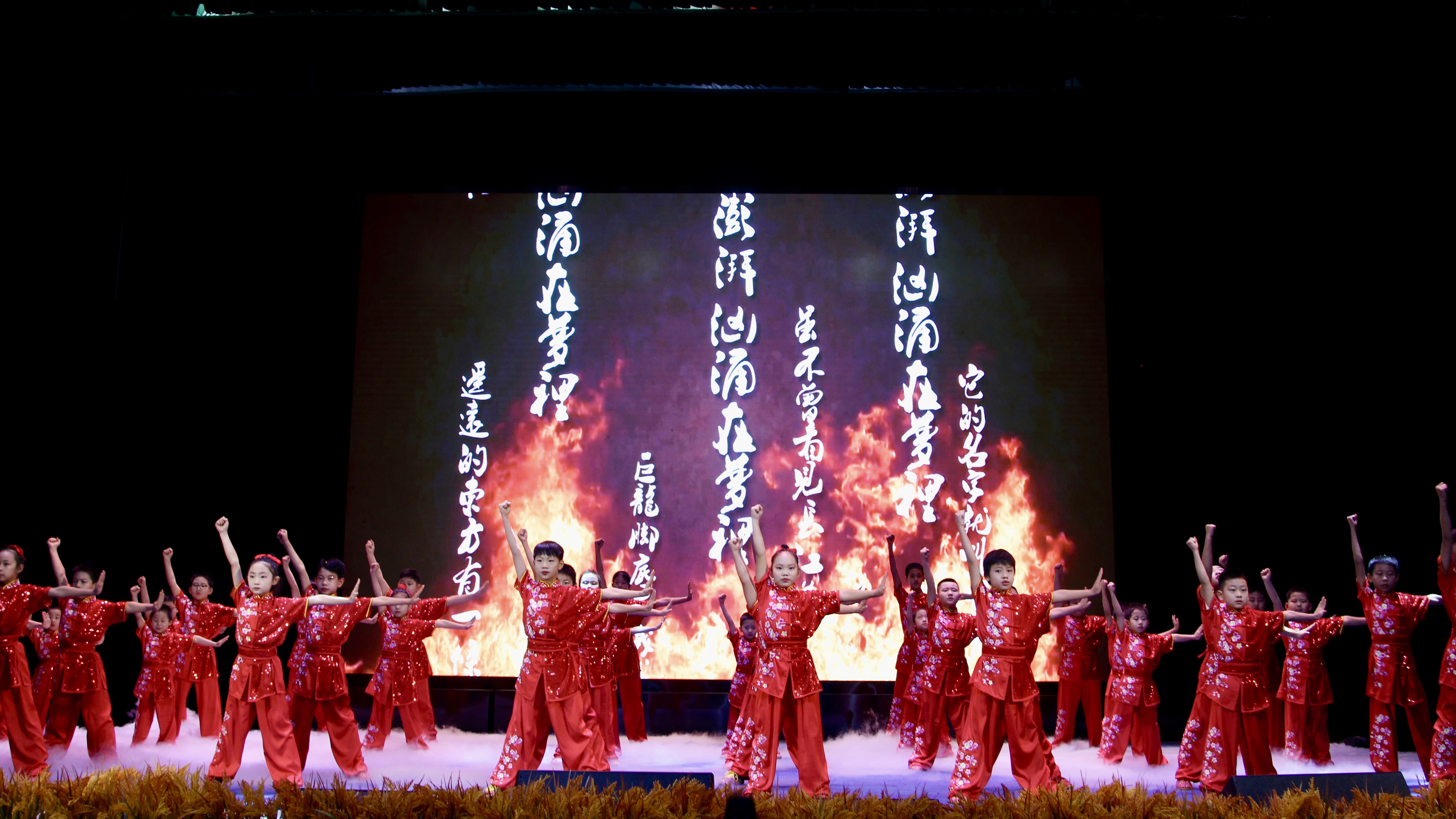 天津津南武术协会小站分会成立大会暨汇报演出落幕_fororder_5