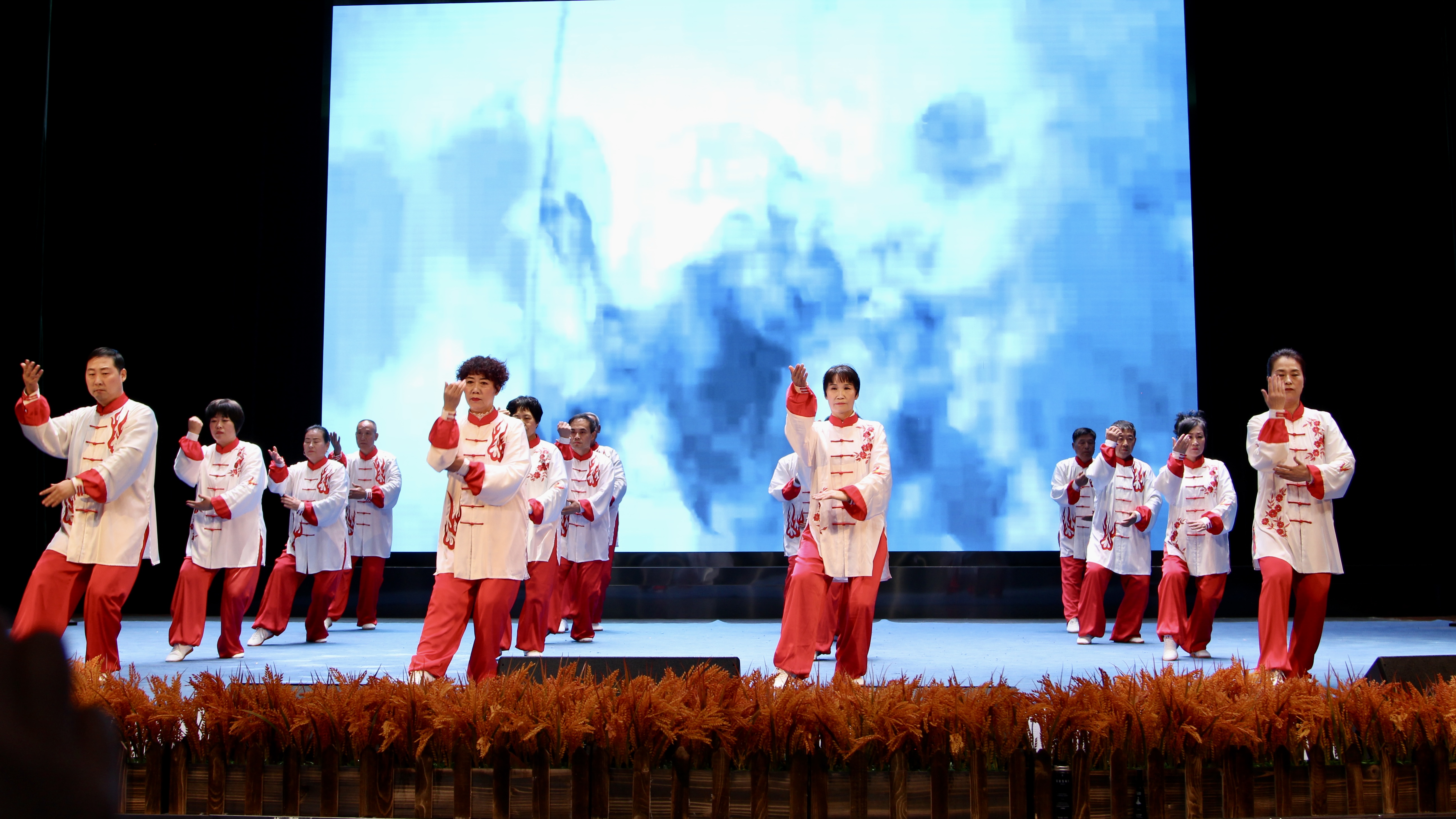 天津津南武术协会小站分会成立大会暨汇报演出落幕_fororder_6