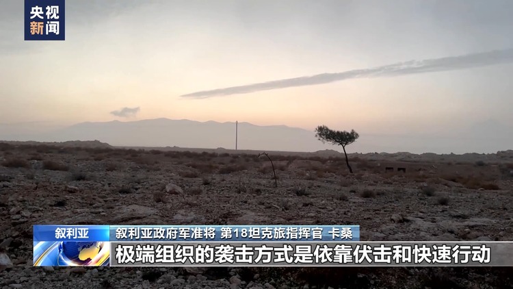 独家调查丨叙利亚荒漠中的罪恶
