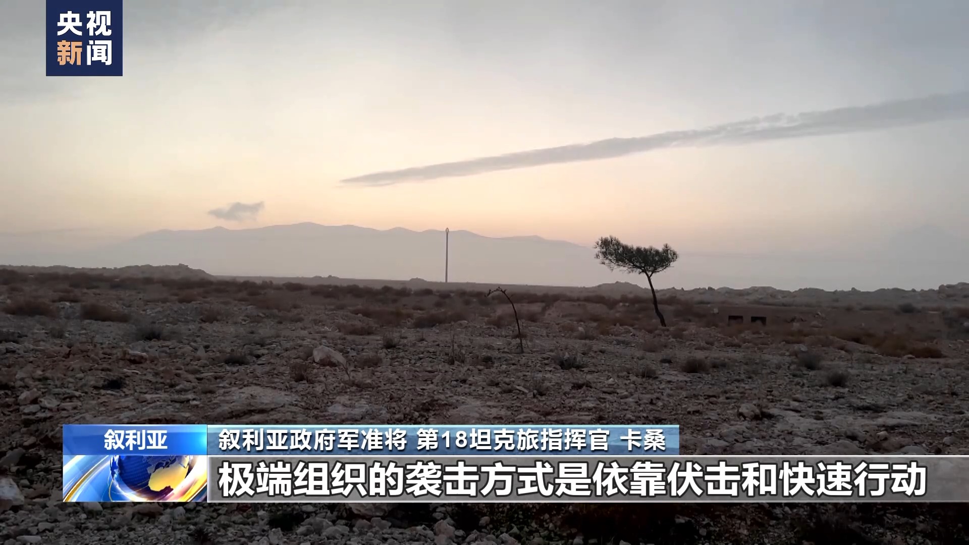 独家调查丨叙利亚荒漠中的罪恶
