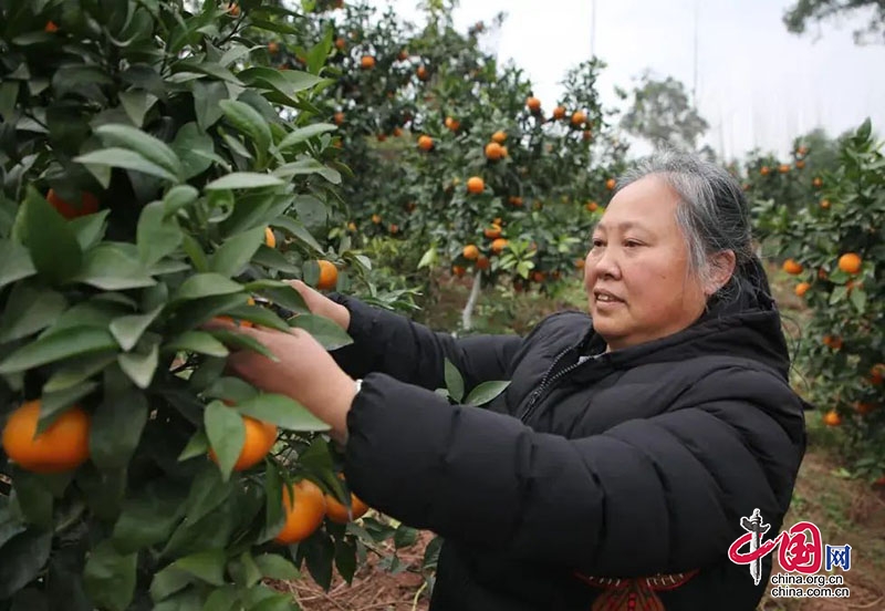 （转载）泸州纳溪：后扶政策托起移民幸福生活