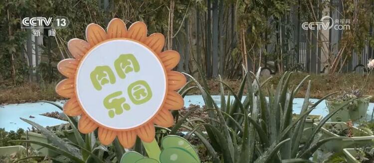 用心办教育 写好“民生答卷” 托起百姓“稳稳的幸福”