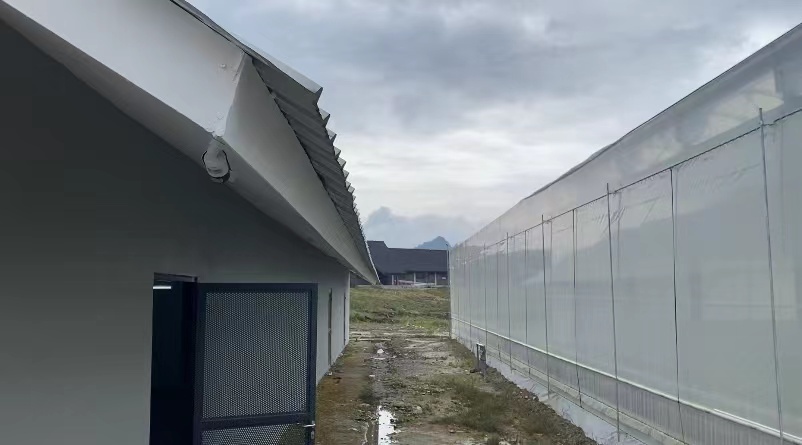 医药合作高质量融入共建“一带一路”合作框架 中国和印尼药用植物合作前景广阔