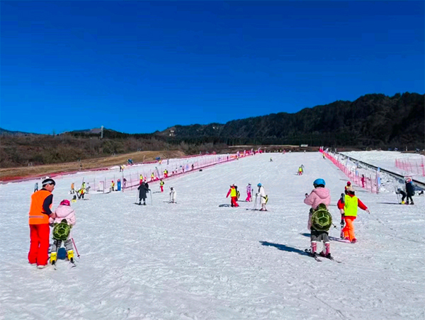 游客同比上升超77%  元旦雅安冰雪阳光旅游持续火热_fororder_游客们在王岗坪景区滑雪-供图-雅安市文化体育和旅游局