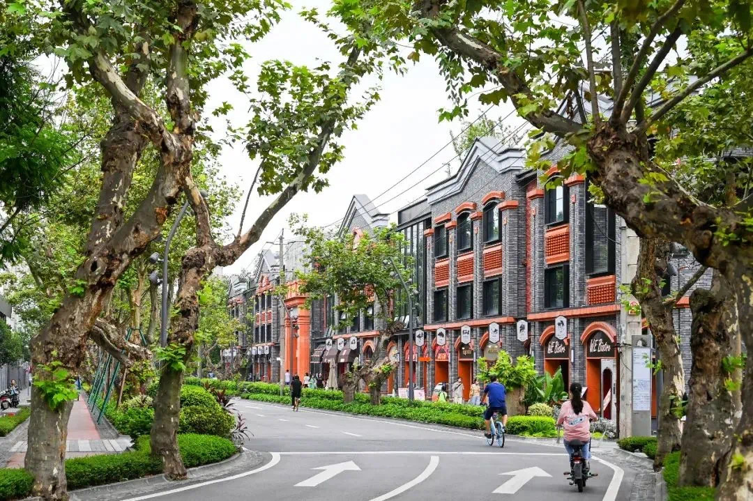 （转载）在成都街头 修剪出“绿色样板间”