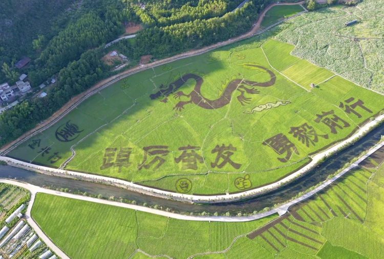 绘就苗乡振兴新画卷 ——湖南省城步苗族自治县乡村振兴发展纪实_fororder_微信图片_20240102144616