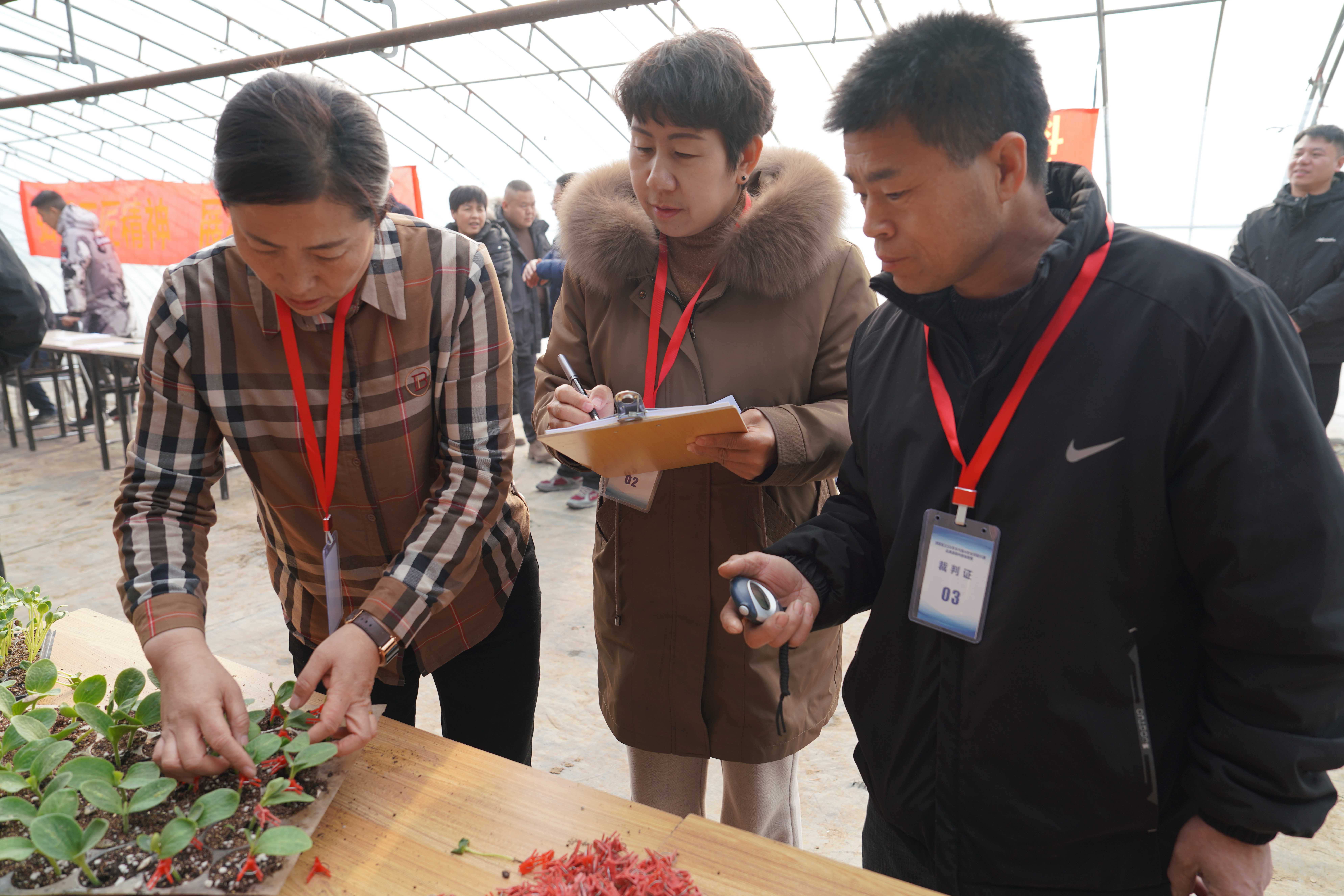图片默认标题_fororder_清苑区2024年乡村振兴职业技能大赛评审组评判选手比赛成绩。摄影 王磊