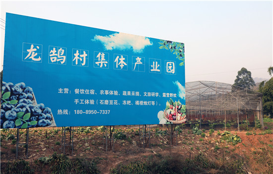 （转载）产业集聚 百姓乐居 眉山市丹棱县龙鹄村走出城乡融合发展新路径_fororder_1704185594379