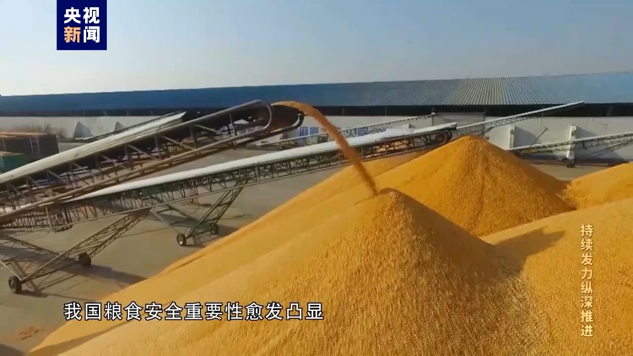 电视专题片《持续发力纵深推进》第二集《政治监督保障》