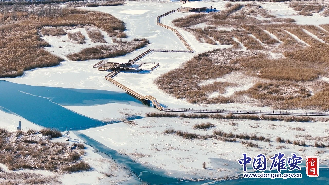 “尔滨”去不了？ ​河北的冰雪嗨游别错过！