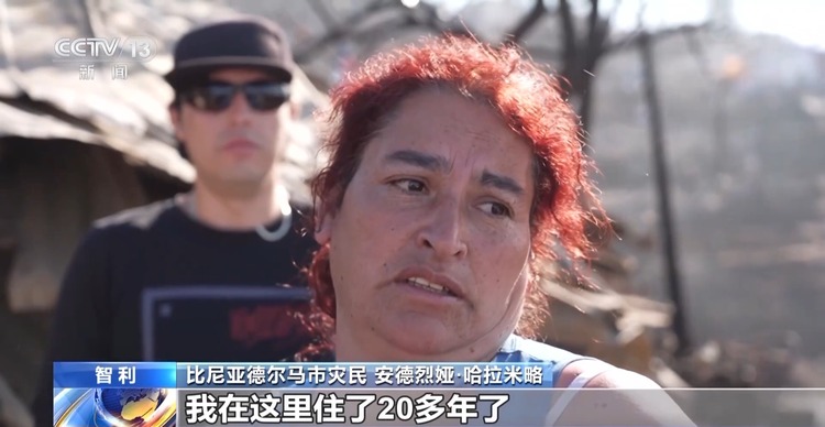 智利林火已被扑灭 当地旅游业受严重影响