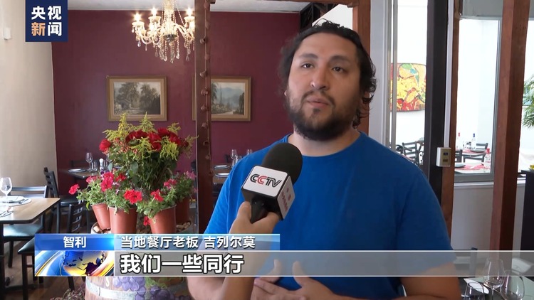 智利林火已被扑灭 当地旅游业受严重影响
