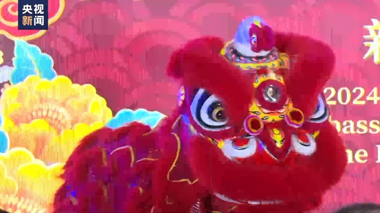 我驻外使领馆举办春节招待会 庆祝龙年春节