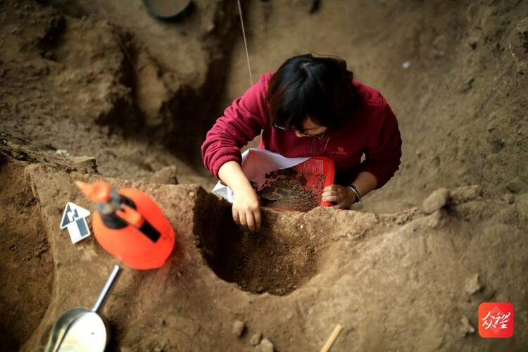 贵州普定穿洞发布重要考古成果：遗址人类活动史向前推进至少5.5万年前
