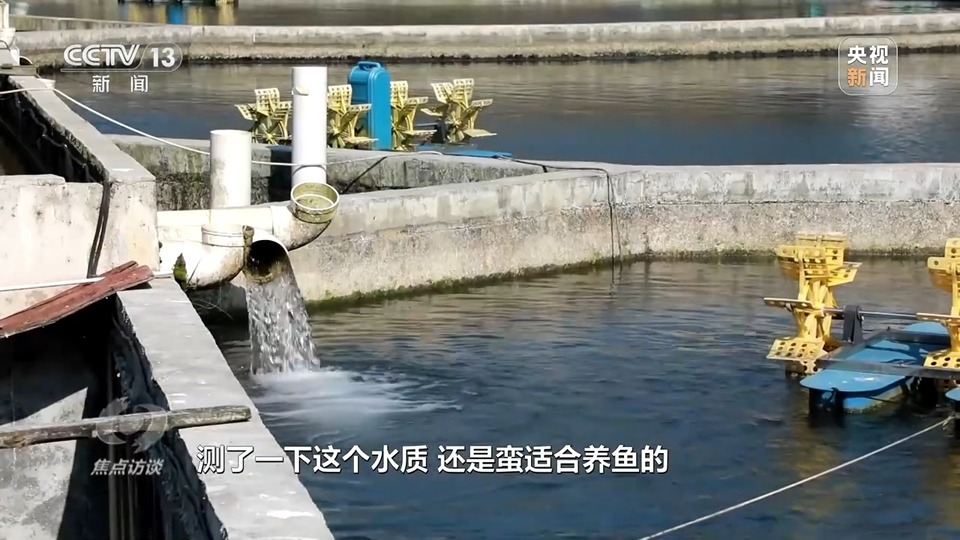 焦点访谈丨长江十年禁捕 告别“水上漂”的渔民如何开启新生活？