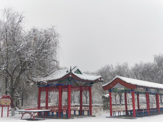 河北威县：公园雪景美如画_fororder_河北威县公园雪景美如画99