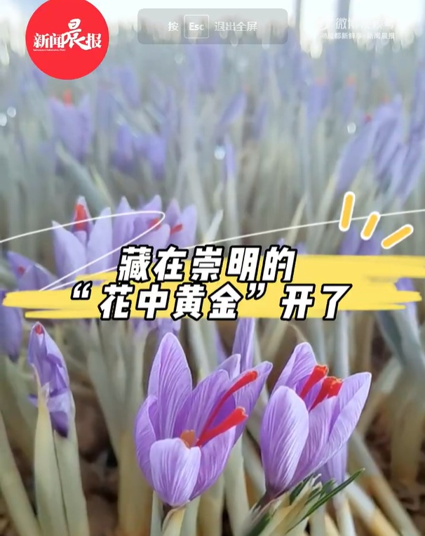 外人竟是咱自己！各地隐藏农特产给你惊喜