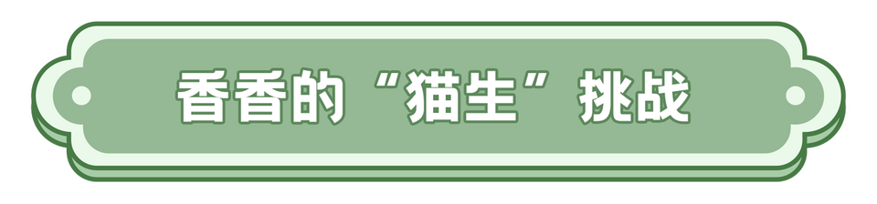 总台周末看点丨文旅热+放寒假，你想好去哪了吗？