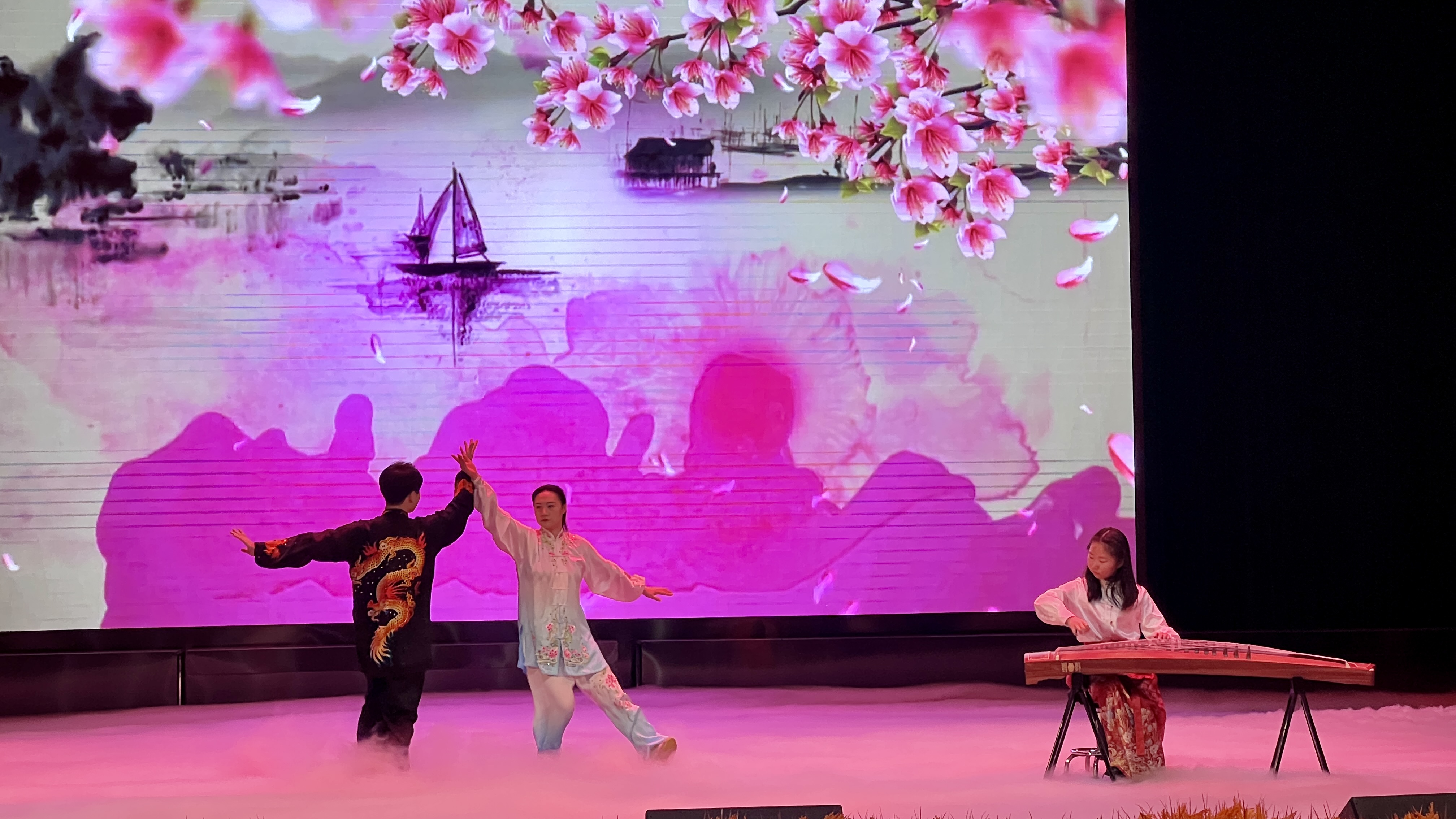 天津津南武术协会小站分会成立大会暨汇报演出落幕_fororder_4