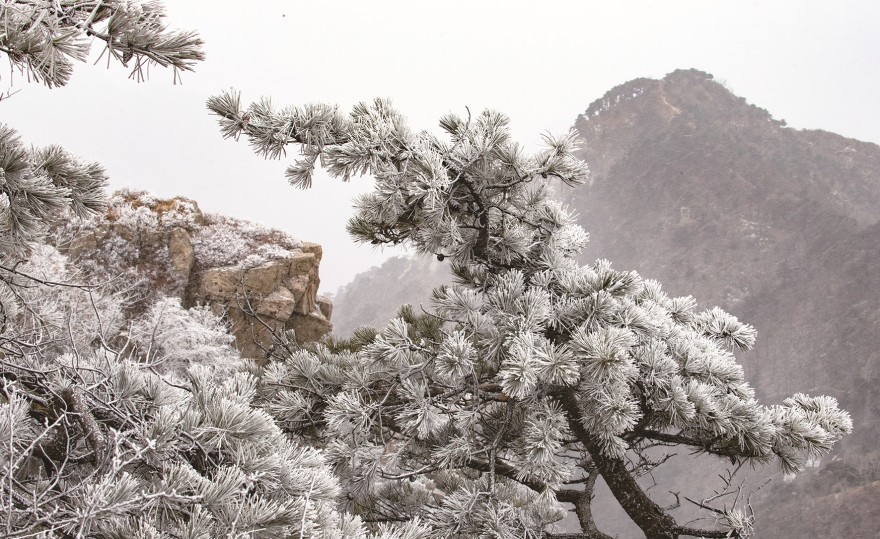天下泰山丨雪后泰山 壮丽画卷