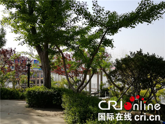 (供稿 三农列表 三吴大地泰州 移动版)兴化市刁家村:“微公园”建设助力乡村振兴 (供稿 三农列表 三吴大地泰州 移动版)兴化市刁家村:“微公园”建设助力乡村振兴