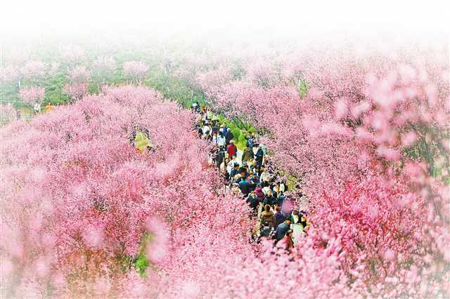 春到山城