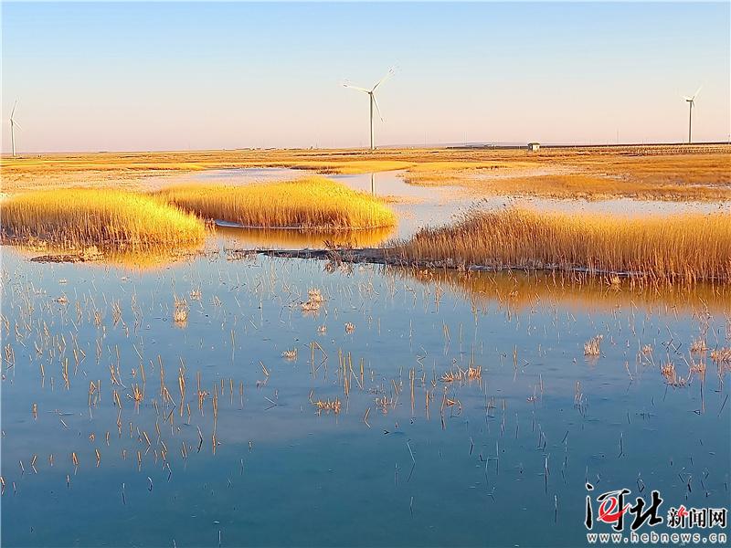 【大河之北·河湖水系篇】水脉探源