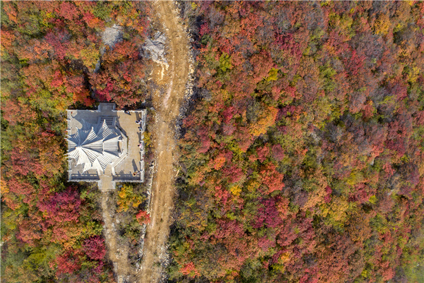 红叶秋景