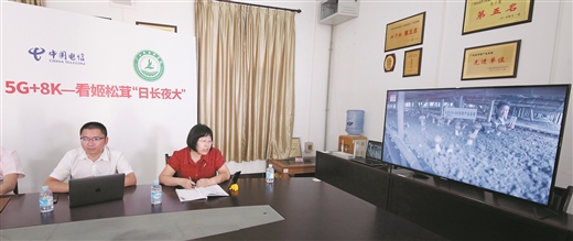 探索特色高效农业 决胜贫困坚中之坚 ——中国电信定点帮扶广西田林县促进扶贫产业发展观察
