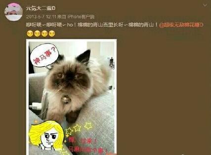 中戏女生被传插足张靓颖感情 素颜照片曝光_娱乐_腾讯网