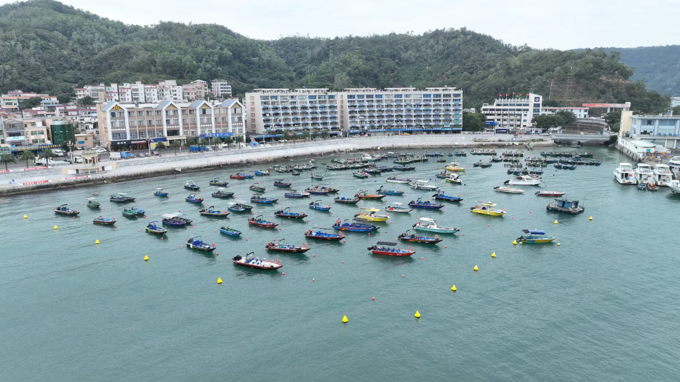 深圳：打造“大鹏模式”  筑牢海上安全管理“压舱石”_fororder_大鹏2