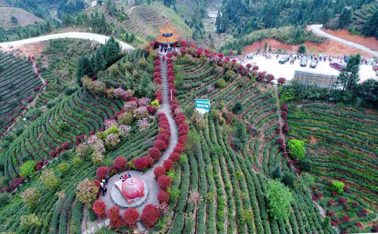 湖南桂东：持续推进乡村环境整治 扮靓乡村“颜值”_fororder_图片1