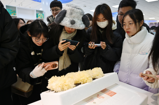 河北盐山：莘莘学子桑梓行  引凤还巢助家乡_fororder_河北盐山：莘莘学子桑梓行  引凤还巢助家乡1768