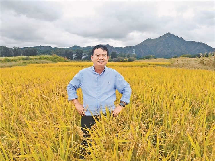 黑龙江：建好建强国家重要商品粮生产基地 当好粮食安全“压舱石”_fororder_a829e781-7b4e-4c2c-95ab-ff2eedcc376b