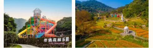 龙年生肖游客免费游增城 增城推出多项春节文旅活动_fororder_3jpg