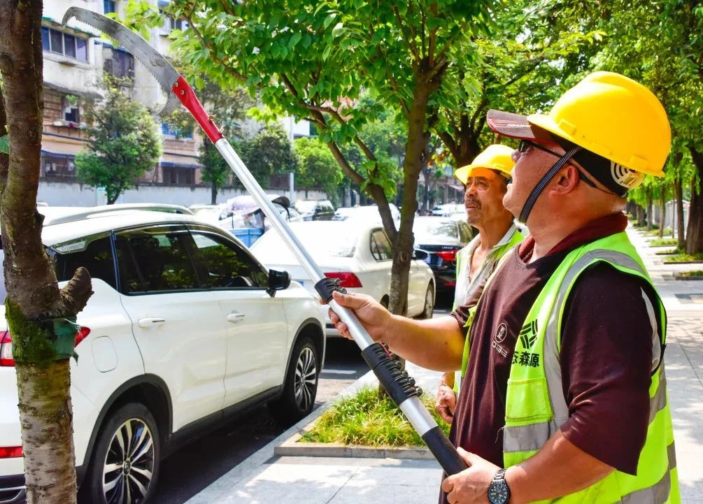 （转载）在成都街头 修剪出“绿色样板间”