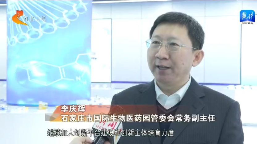 河北：产业集群“向新而行” 加快形成新质生产力