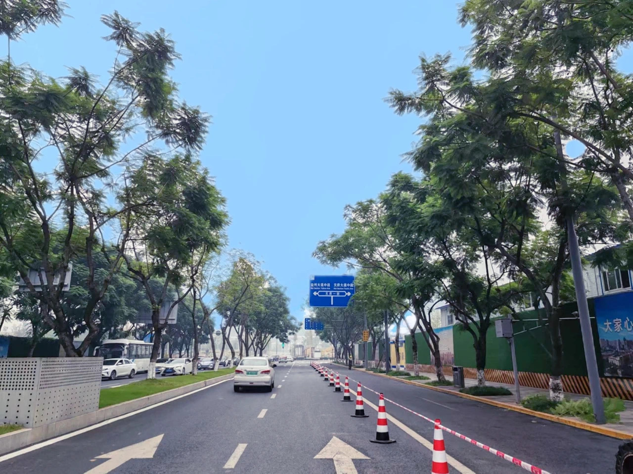 （转载）在成都街头 修剪出“绿色样板间”