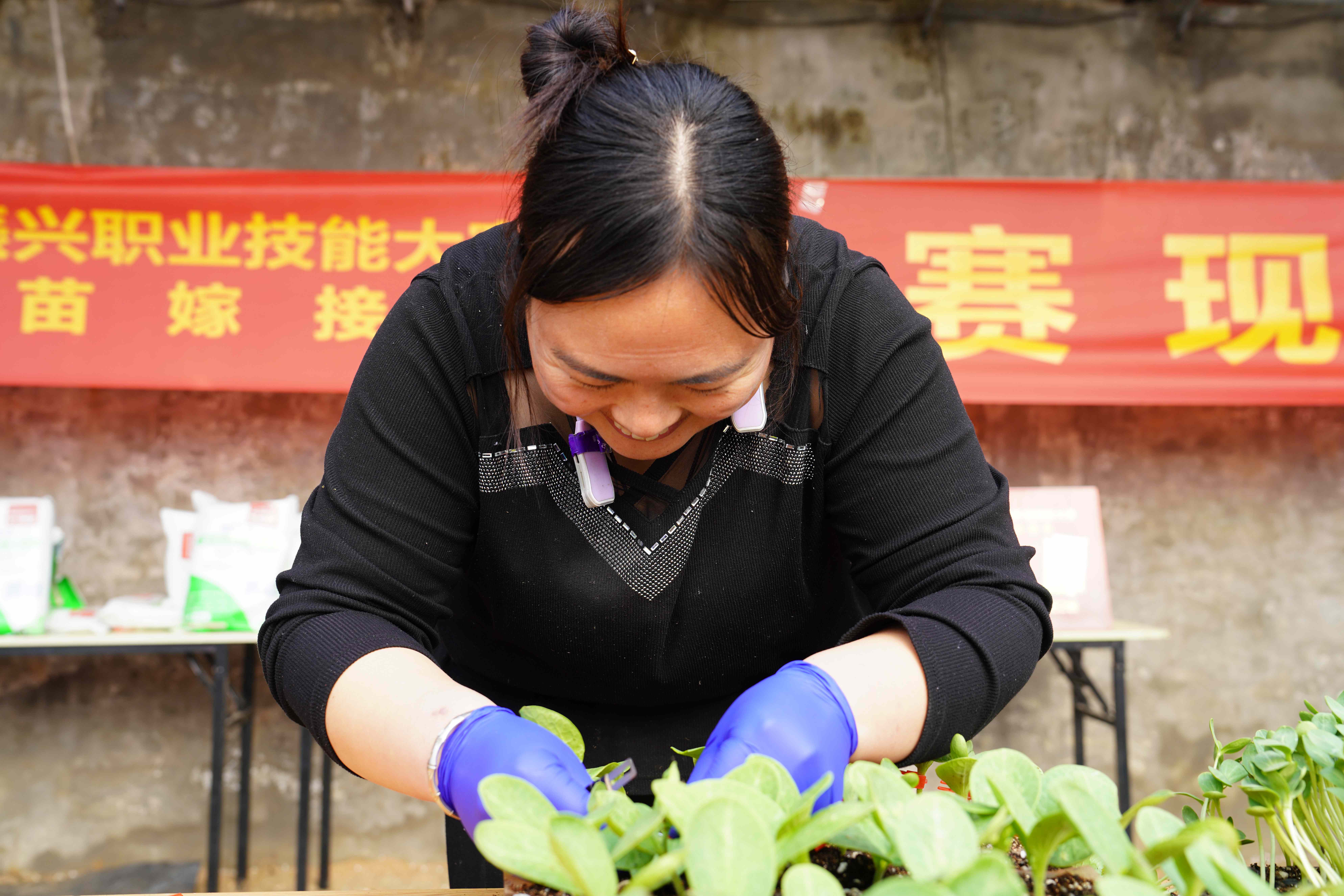 图片默认标题_fororder_清苑区2024年乡村振兴职业技能大赛比赛现场2。摄影 王磊