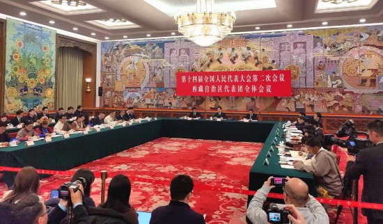 沧桑巨变 格桑花开——十四届全国人大二次会议西藏代表团开放团组会议侧记