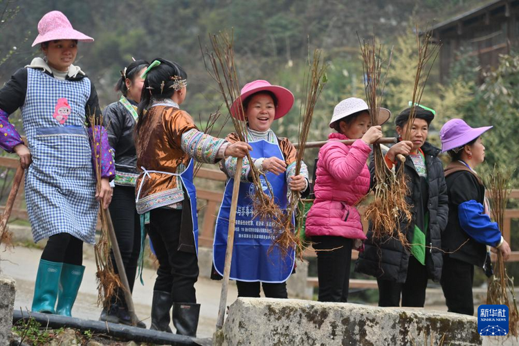 他们坚持每年种树 守护绿水青山