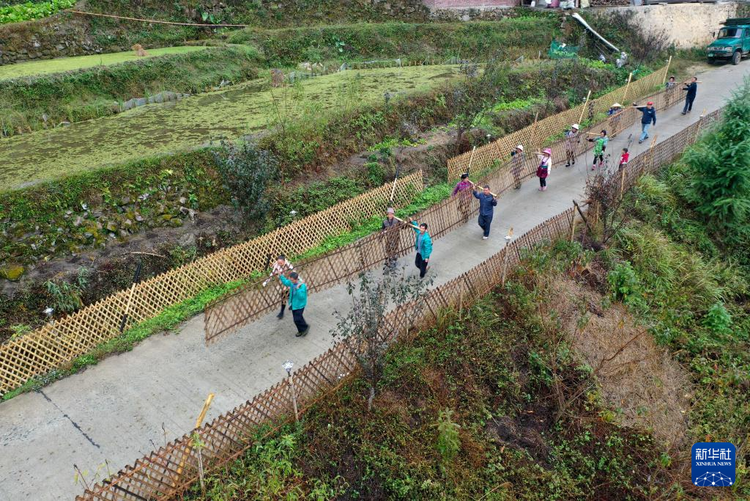 他们坚持每年种树 守护绿水青山