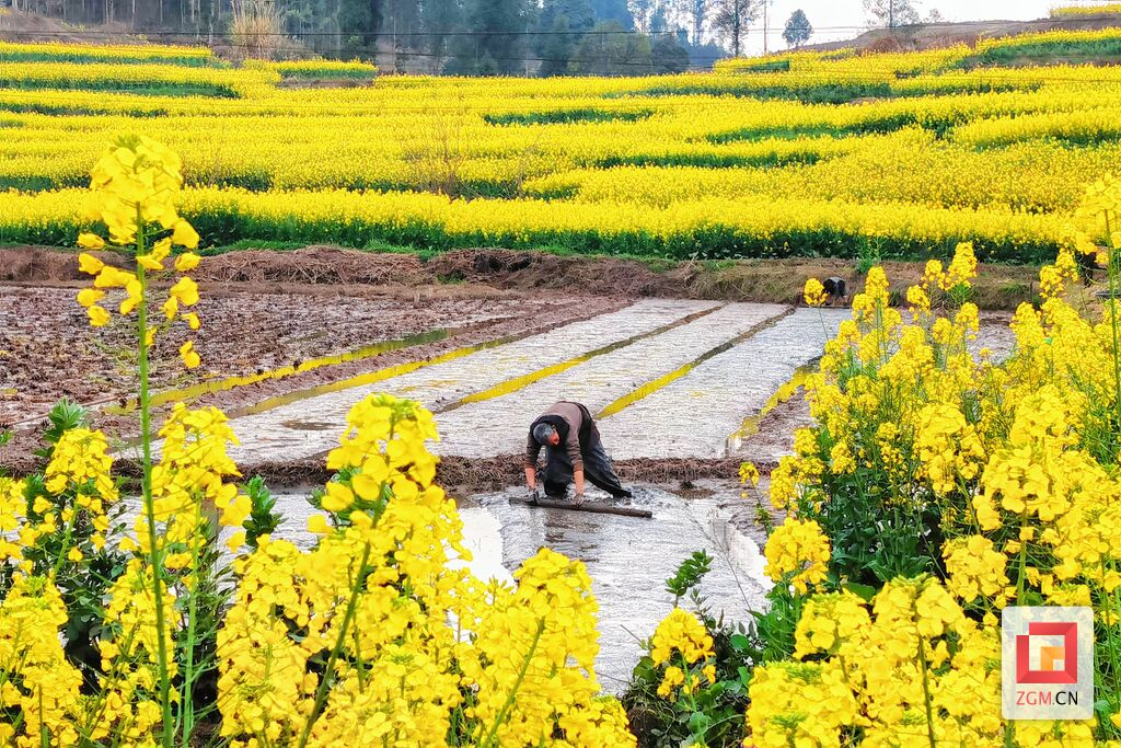 （转载）自贡荣县：绘好“春耕图” 孕育“丰收景”