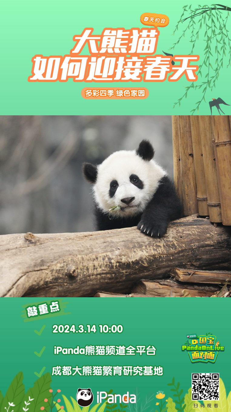 总台周看点｜欣欣然，“新新然”！
