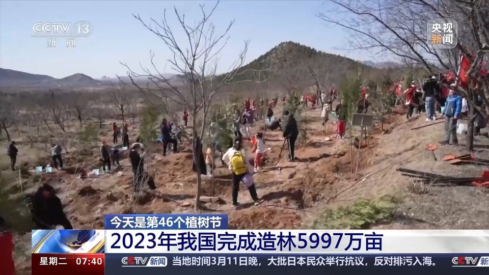 人工林面积世界第一！世界近20年增绿的四分之一都由中国贡献