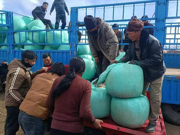 成都高新区（简阳市）对口支援工作队捐赠20吨饲草 解决甘孜德格农牧民燃眉之急_fororder_微信图片_20240313091002