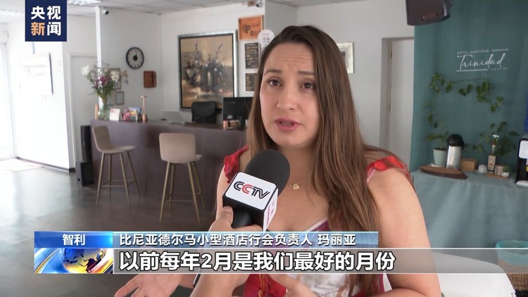 智利林火已被扑灭 当地旅游业受严重影响