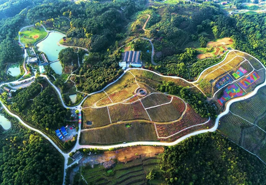 重庆涪陵：2024李渡街道首届和美乡村旅游文化节开幕_fororder_微信图片_20240315135612
